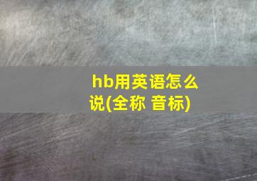 hb用英语怎么说(全称 音标)